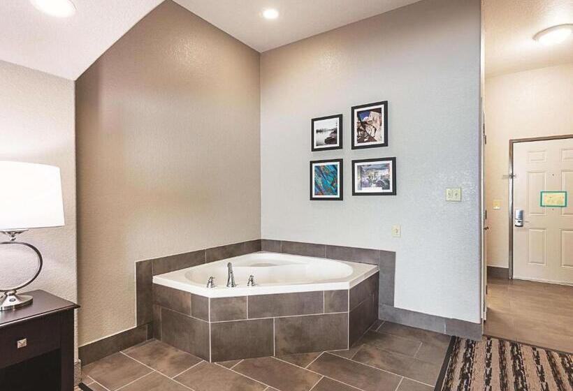 带大床的标准间, La Quinta By Wyndham San Antonio Northwest