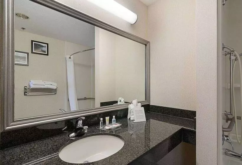 スイート, Quality Suites Springdale West I 49