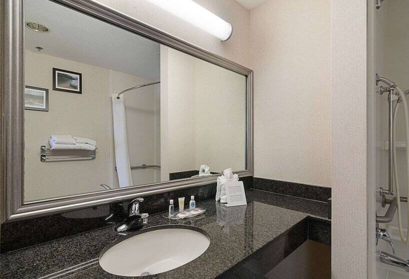 适合残疾人士使用的套间, Quality Suites Springdale West I 49