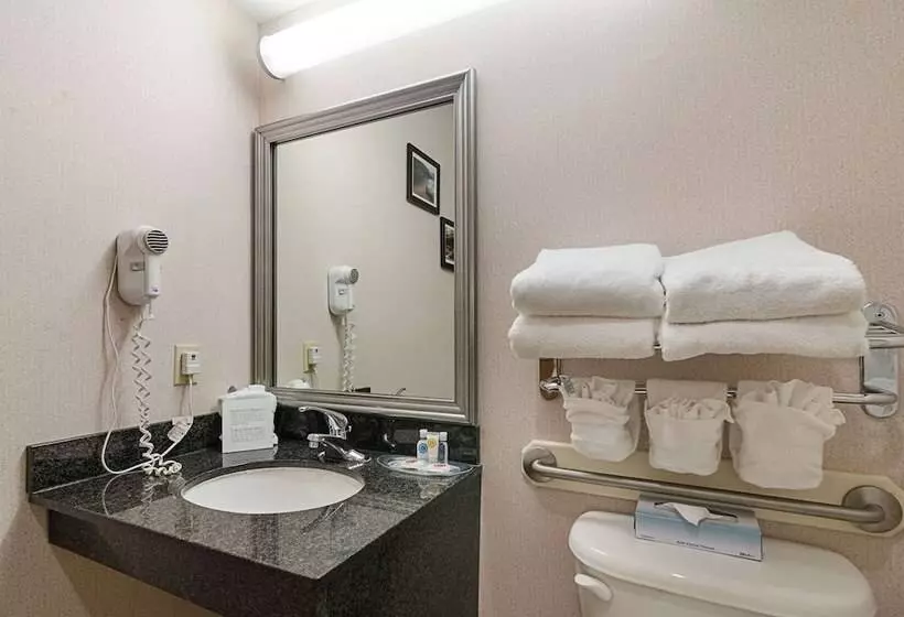 身障者適用スイートルーム, Quality Suites Springdale West I 49