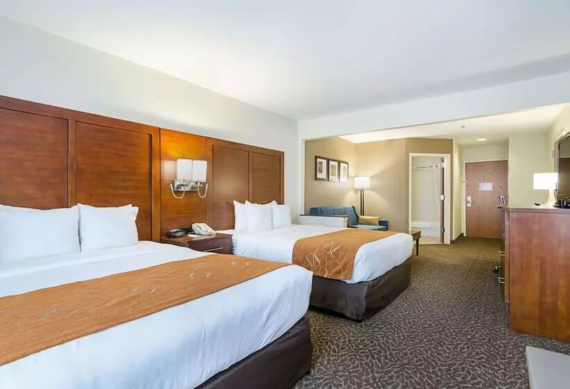 身障者適用スイートルーム, Quality Suites Springdale West I 49