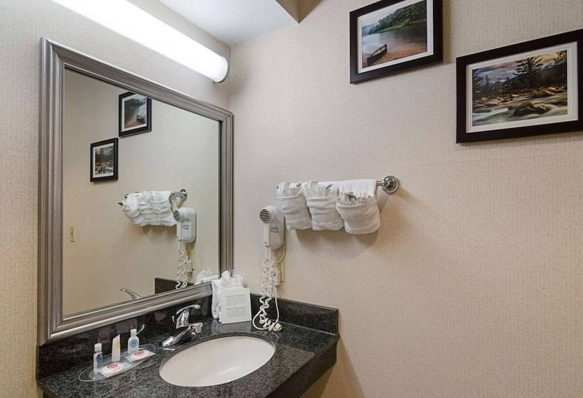 Люкс, Quality Suites Springdale West I 49