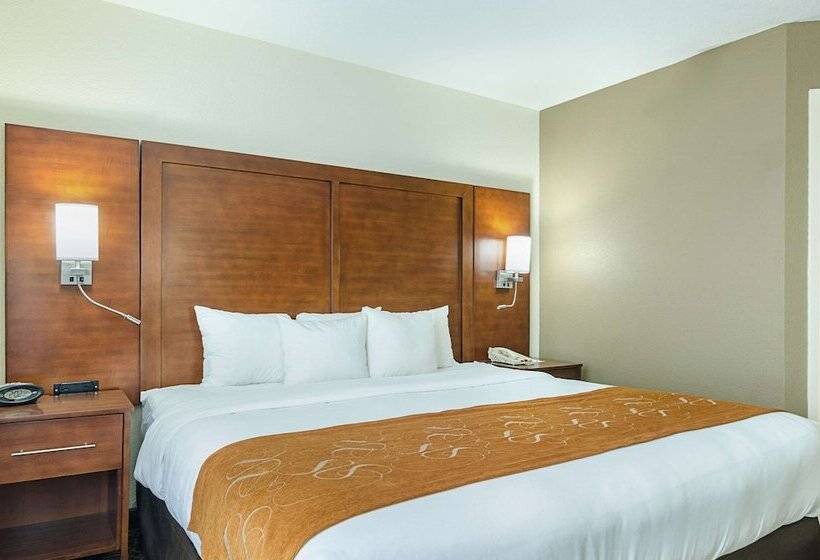 Люкс Адаптированный для Инвалидов, Quality Suites Springdale West I 49