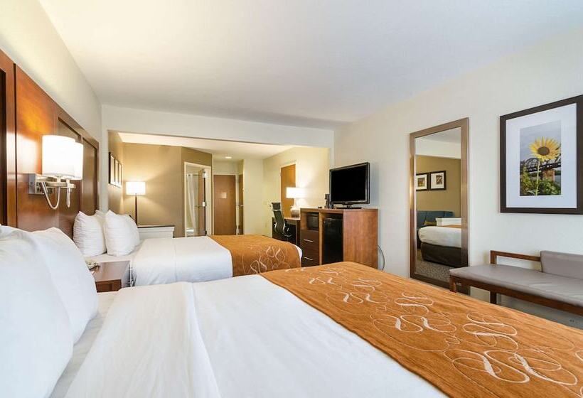 Люкс Адаптированный для Инвалидов, Quality Suites Springdale West I 49