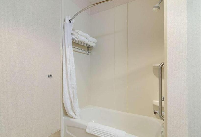 带大床的套房, Quality Suites Springdale West I 49