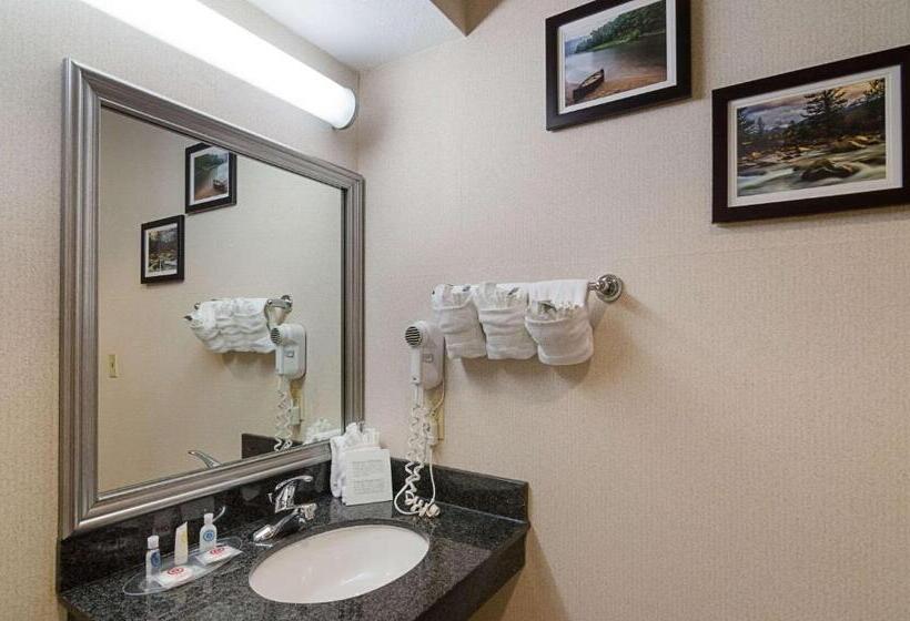 Люкс Кровать Кинг, Quality Suites Springdale West I 49