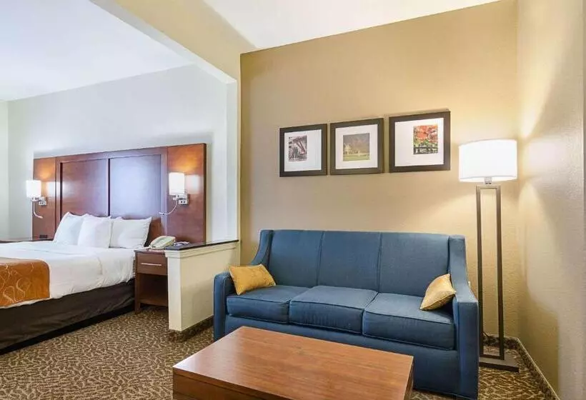 キングサイズベッドのスイートルーム, Quality Suites Springdale West I 49