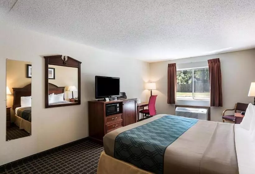 اتاق استاندارد با تخت بزرگ, Rodeway Inn