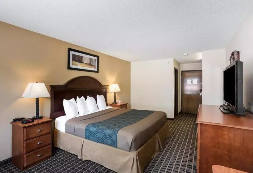 اتاق استاندارد با تخت بزرگ, Rodeway Inn