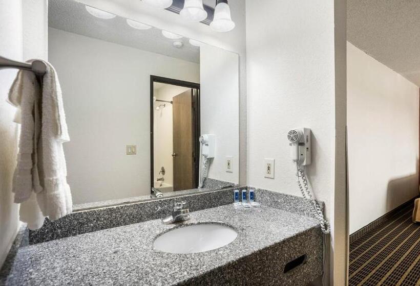 Номер Стандарт, Rodeway Inn