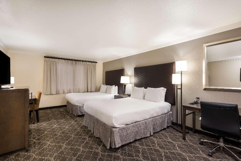 デラックスルーム, Stubel Suites & Cafe