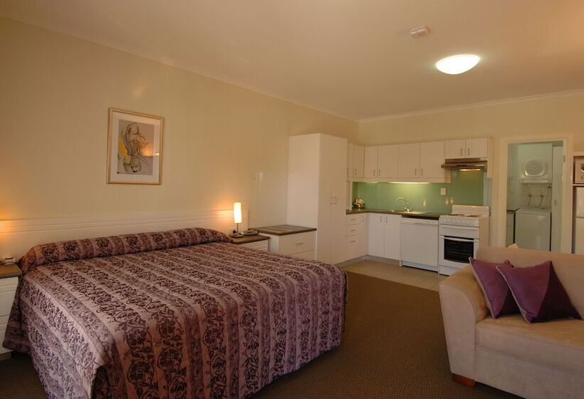 إستوديو قياسى سرير كينج, Mclaren Vale Motel & Apartments