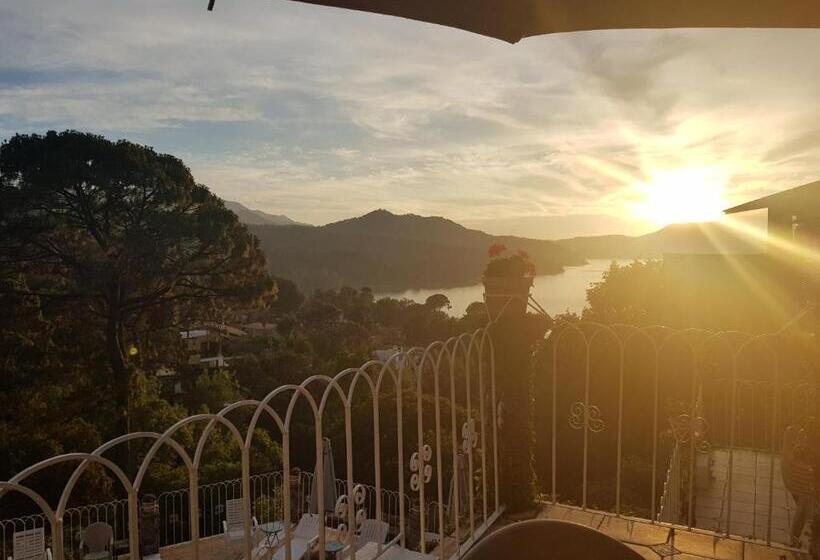 Бунгало Стандарт, Revi Inn