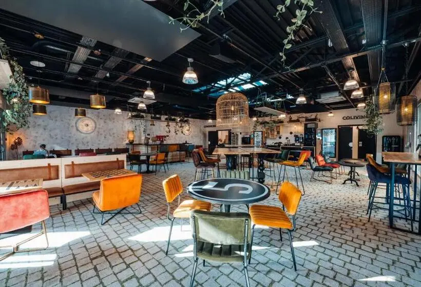 Standard Studio, Cowool Avignon