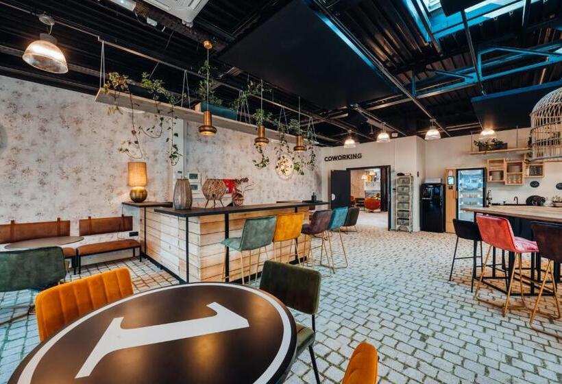 Студия Стандарт, Cowool Avignon