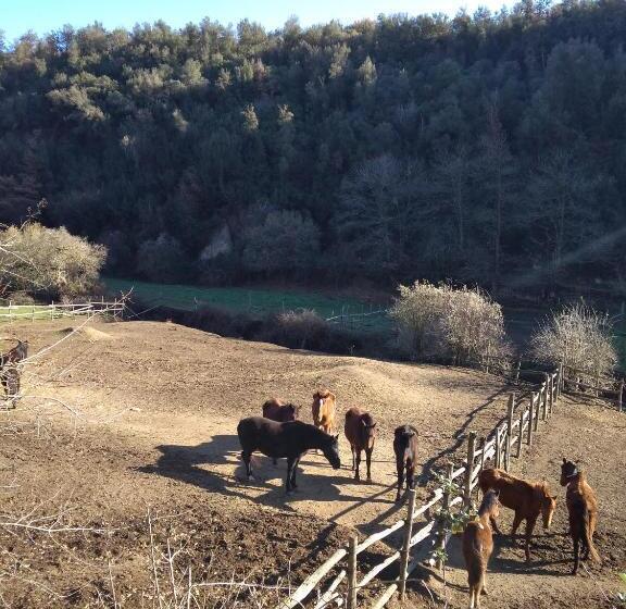 스탠다드 발코니 룸, B&b Le Buche Casa Storica