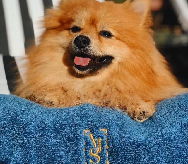 プレミアム4ベッドルーム, Villa San Juan Bed&breakfast