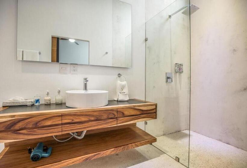 デラックスルーム, Villa San Juan Bed&breakfast