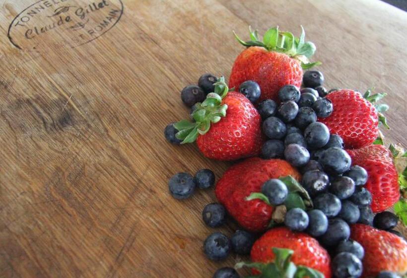 テラス付きスタンダードルーム, Simba Safaris African Pride Exotic Lodge