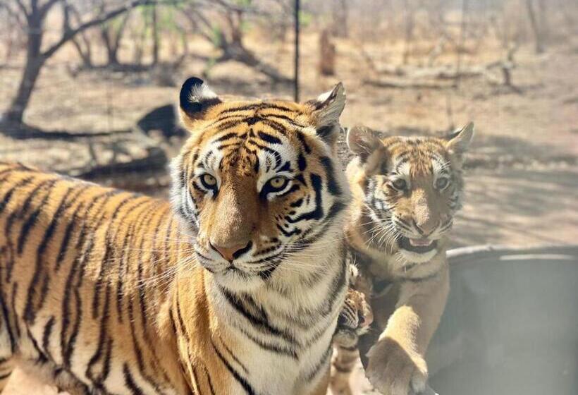 デラックスルーム, Simba Safaris African Pride Exotic Lodge