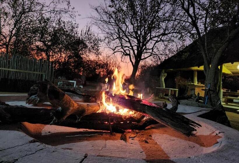 テラス付きスタンダードルーム, Simba Safaris African Pride Exotic Lodge