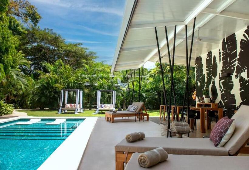 豪华房间, La Prometida