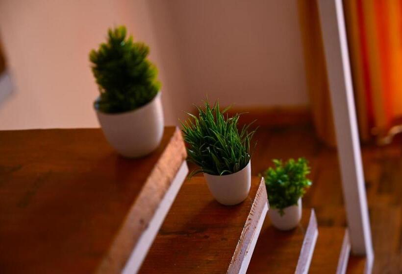 جناح دوبلكس, La Blanca Resort