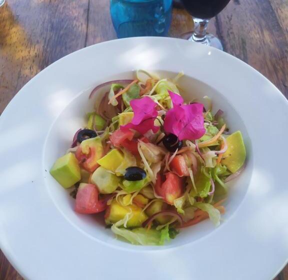 Бунгало Deluxe, Mtende Beach Bungalow Océan View