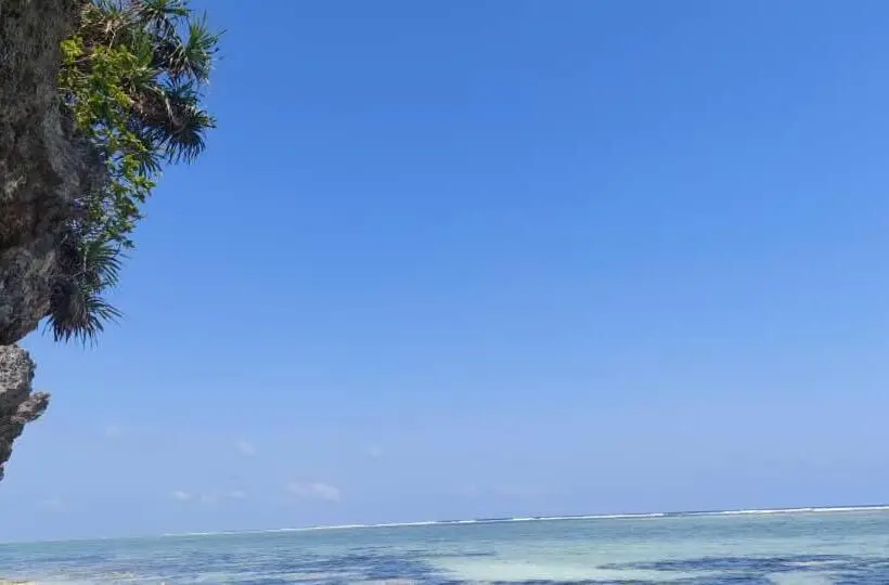 デラックスバンガロー, Mtende Beach Bungalow Océan View