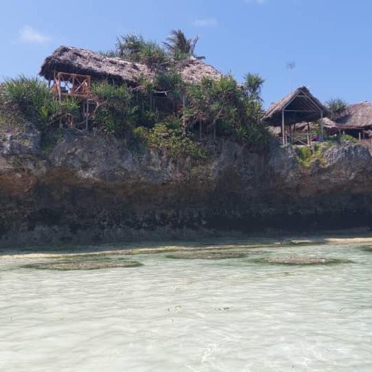 디럭스 방갈로, Mtende Beach Bungalow Océan View