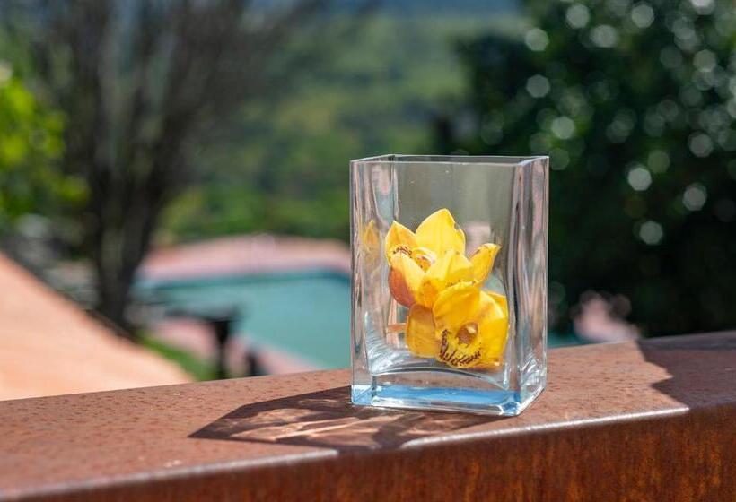 غرفة قياسية مزوَّدة بتراس, Rectoral De Fofe