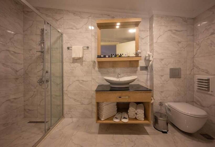 اتاق استاندارد یک نفره, Porta Romanos