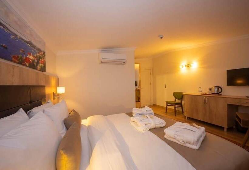 اتاق استاندارد, Porta Romanos