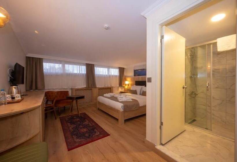 اتاق استاندارد, Porta Romanos