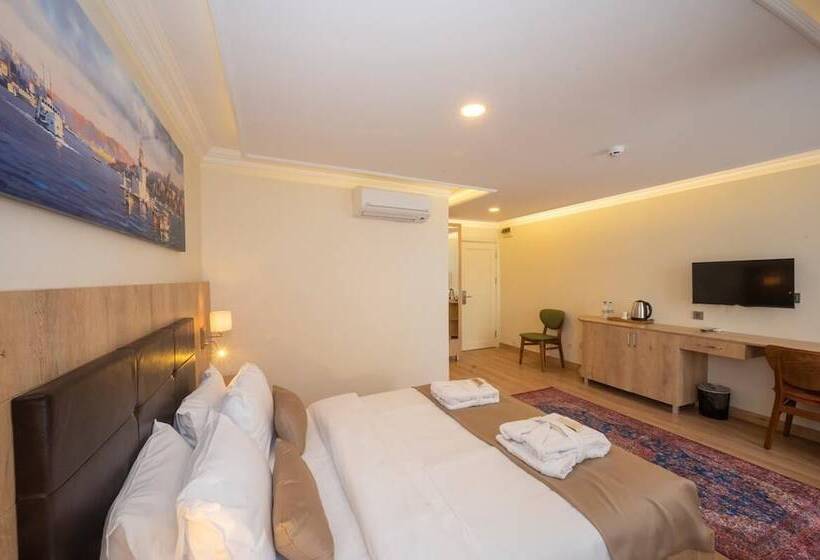 اتاق استاندارد, Porta Romanos