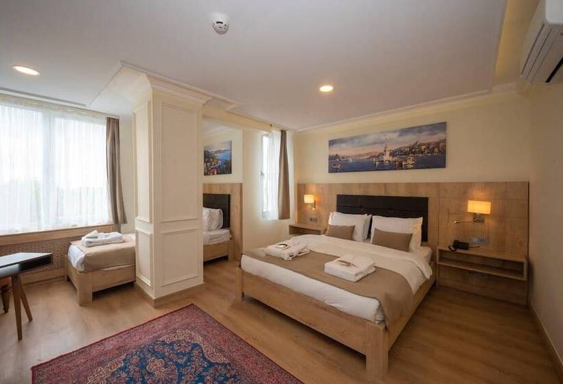 اتاق استاندارد سه نفره, Porta Romanos