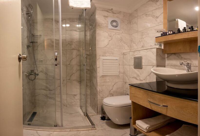 اتاق خانوادگی, Porta Romanos