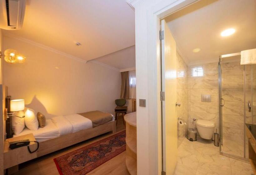 اتاق استاندارد یک نفره, Porta Romanos