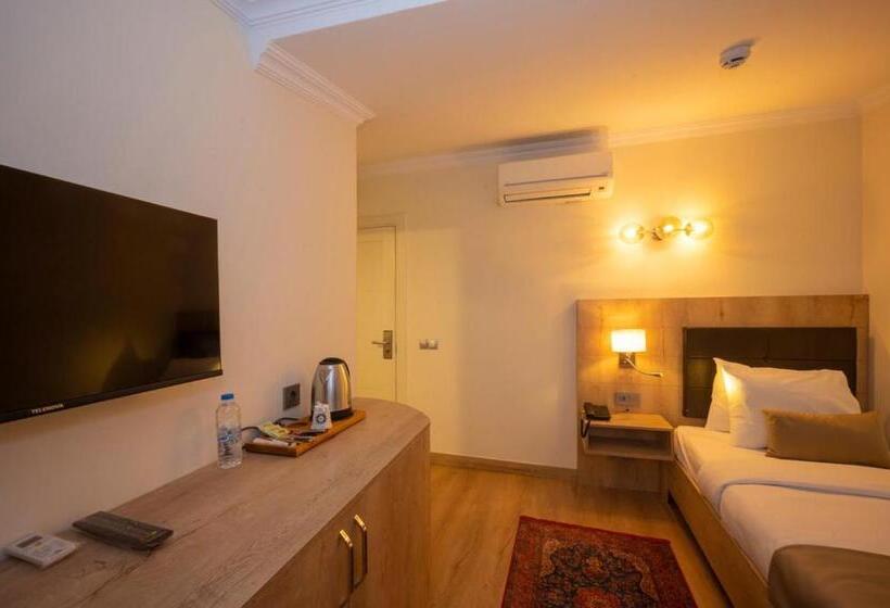 اتاق استاندارد یک نفره, Porta Romanos