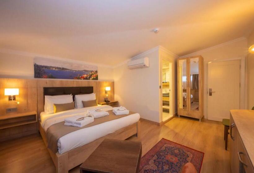 اتاق استاندارد, Porta Romanos