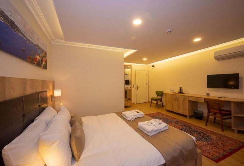 اتاق استاندارد سه نفره, Porta Romanos