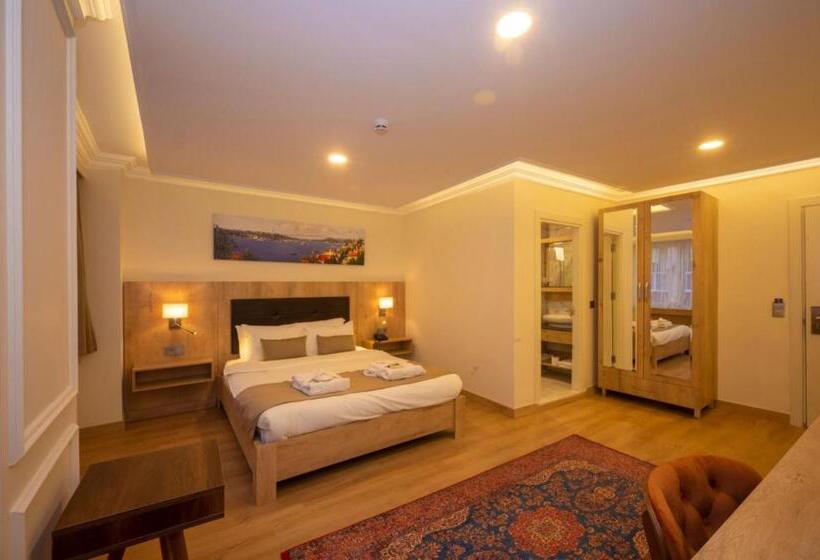 اتاق استاندارد سه نفره, Porta Romanos