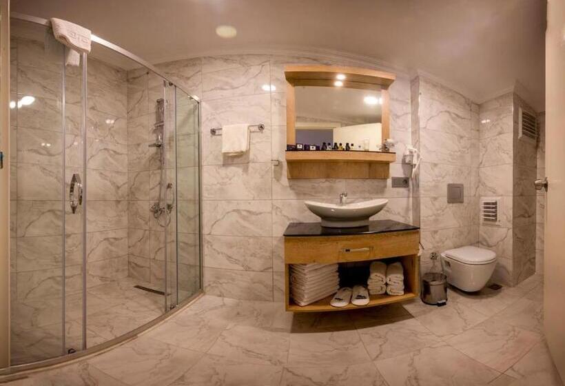 اتاق خانوادگی, Porta Romanos