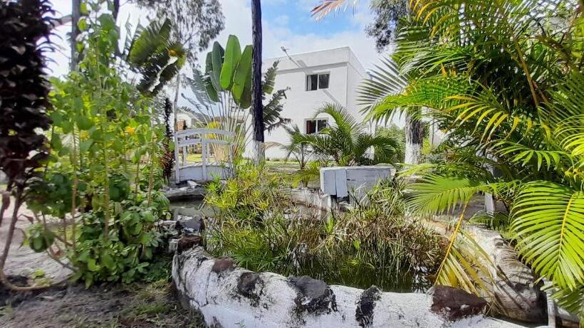 اتاق استاندارد با چشمانداز استخر, The Sanctuary Lodge