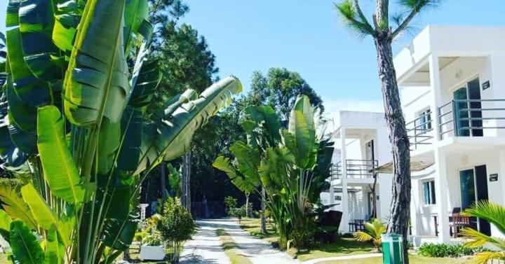 اتاق استاندارد با چشمانداز استخر, The Sanctuary Lodge