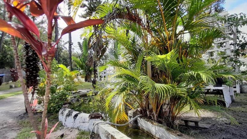 اتاق خانوادگی, The Sanctuary Lodge