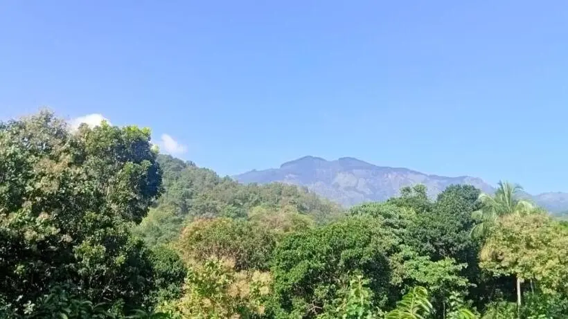 スタンダードルーム, Lavista Holiday Bungalow