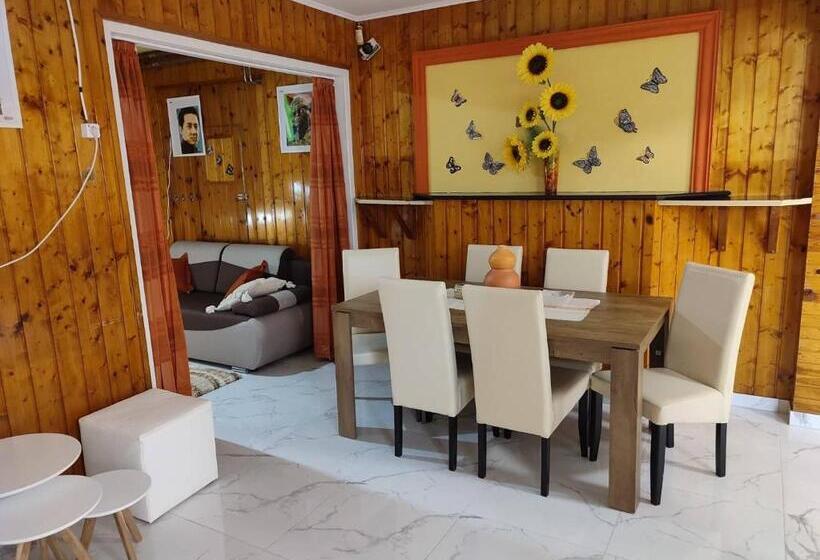 스탠다드 스튜디오, Unicum Vendégház