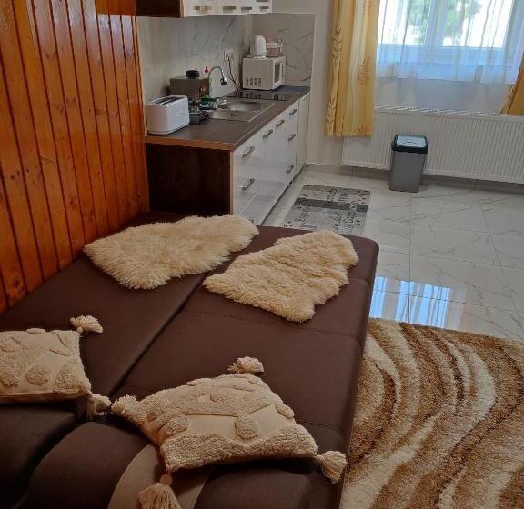 스탠다드 스튜디오, Unicum Vendégház