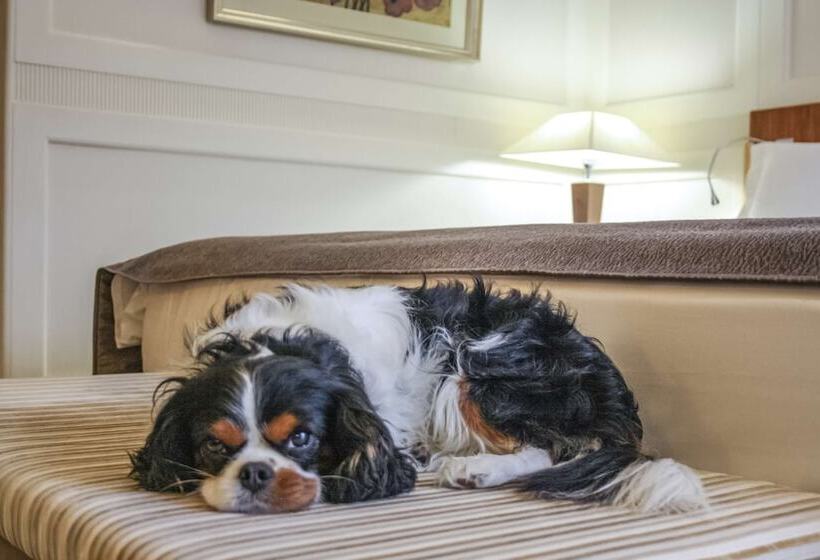 اتاق سوپریور با چشمانداز دریا, Kempinski Palace Portorož